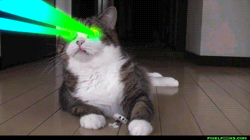 giphy.gif