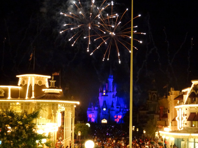 DSC01960-L.jpg