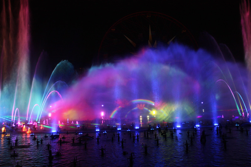 IMG0594-L.jpg
