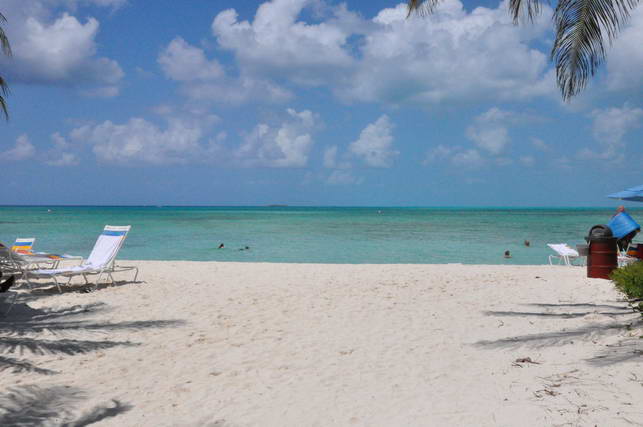 DSC_0566.JPG