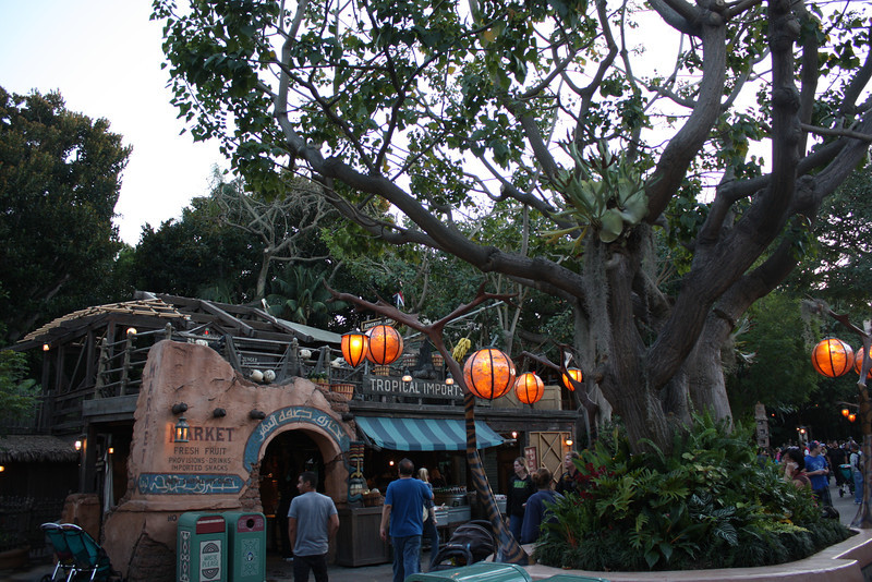 IMG9471-L.jpg