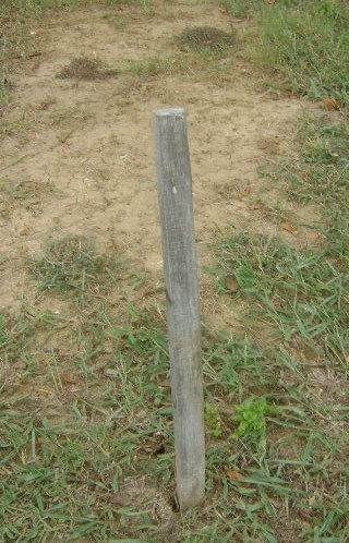 wooden%20post.JPG