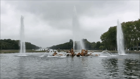 giphy.gif