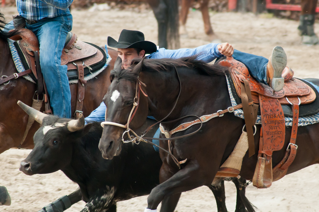 rodeo11-172-XL.jpg