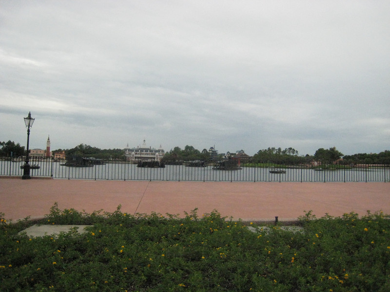 322586259_9ariC-L.jpg