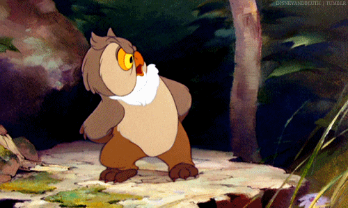 tumblr_ln8mmgN65U1qafrh6.gif