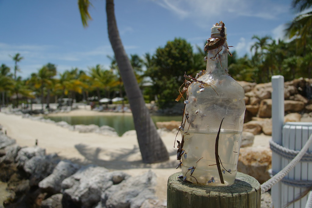 floridakeys%20690-XL.jpg