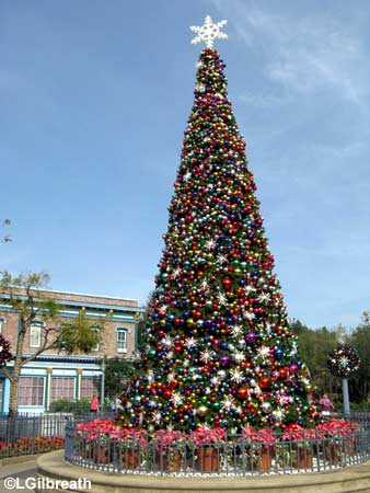 xmas08tree.jpg