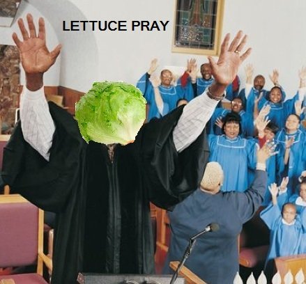 tumblr_ljx7h48QL71qgjsxho1_500.jpg