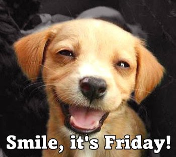 happy-dog.jpeg