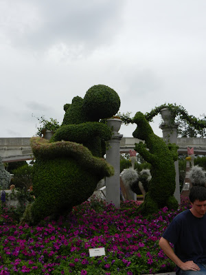 DSCN0831.JPG