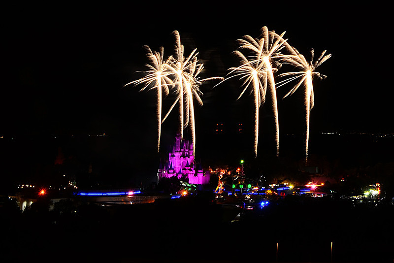 DSC7541-L.jpg