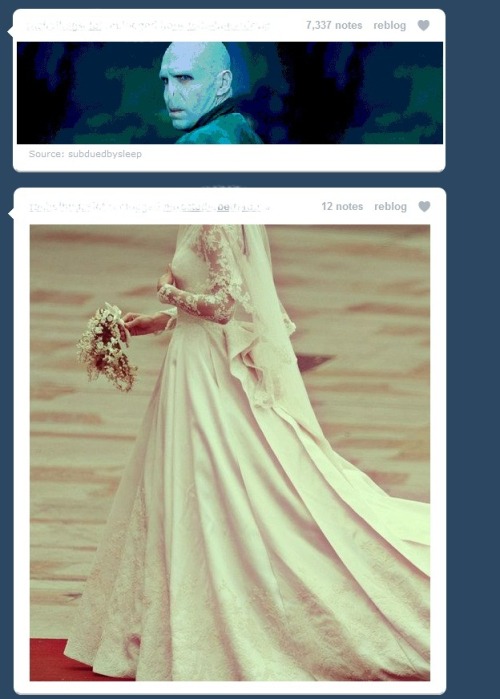 tumblr_lkjokakhRR1qinek6o1_500.jpg