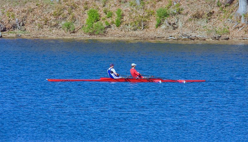 296616339_PAMGk-L.jpg