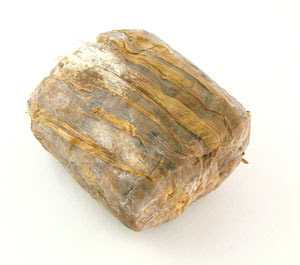 MoldySoap.jpg