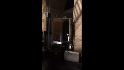giphy.gif