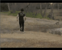 tumblr_l8b8fcCxsd1qavg9x.gif