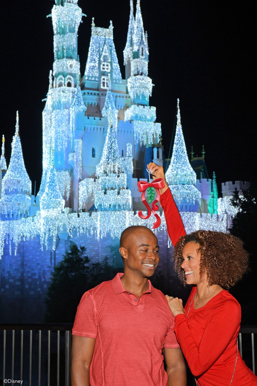 PhotoPass9.jpg