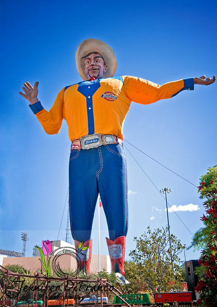 390103161_sjCW7-L.jpg