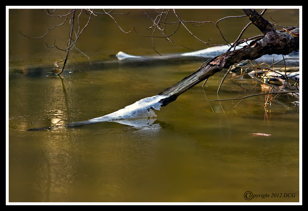 Ice-01-04-06cr-XL.jpg