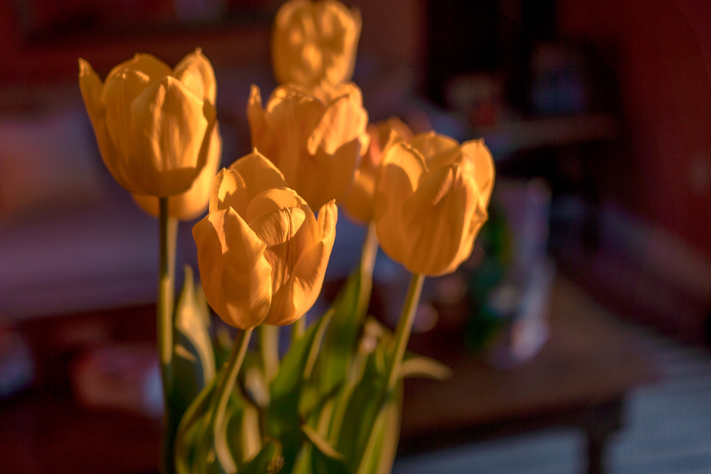 DSC02876-XL.jpg