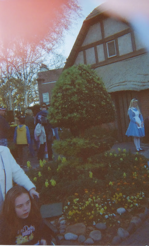 Alice.jpg