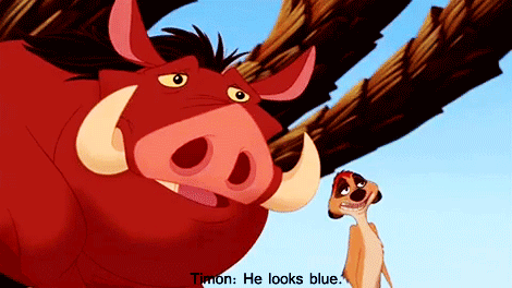 tumblr_lckrmoVvOQ1qetklgo1_500.gif