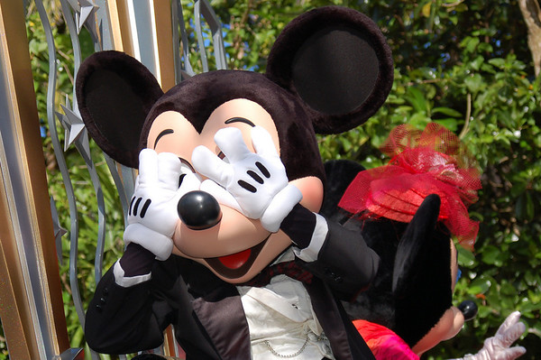 265030360_fzMn4-M.jpg