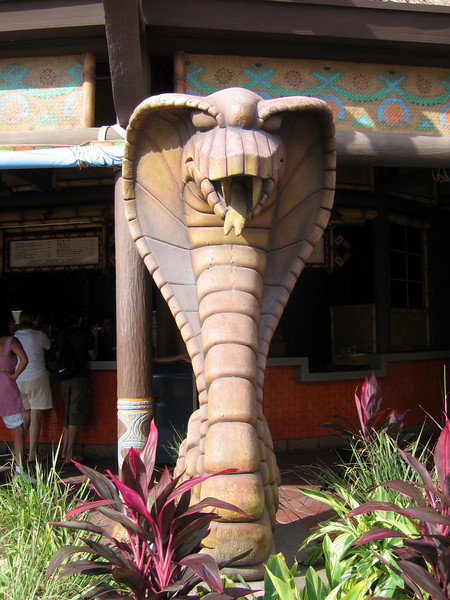 942889613_f6Efx-L.jpg