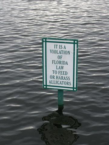 alligatorssign.jpg