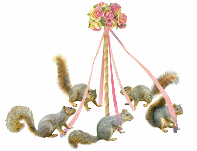 mayday_squirrels.gif