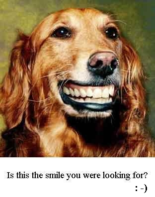 smile.JPG