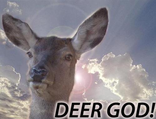 tumblr_lndcebX46k1qhk3mr.jpg