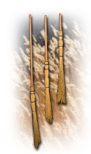brooms1.jpg