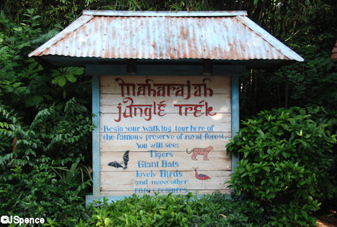 Maharajah%20Junge%20Trek%2002.jpg