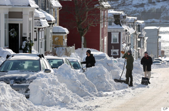 o-NEWFOUNDLAND-WINTER-570.jpg