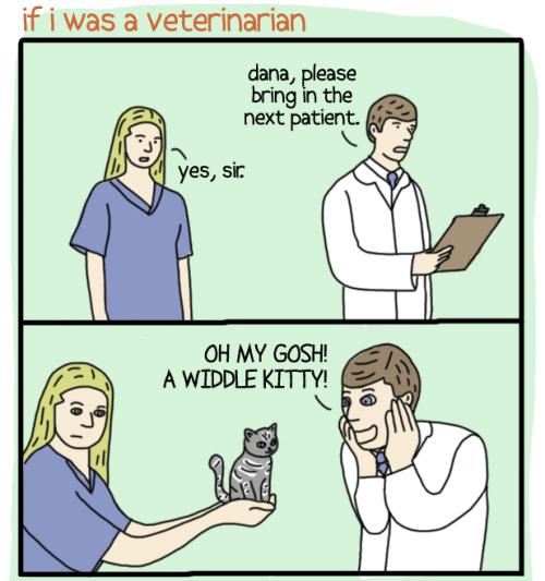 tumblr_mhrhegk6in1qzcv7no1_500.png