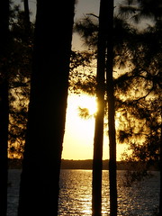 3293699783_fd49c7625f_m.jpg