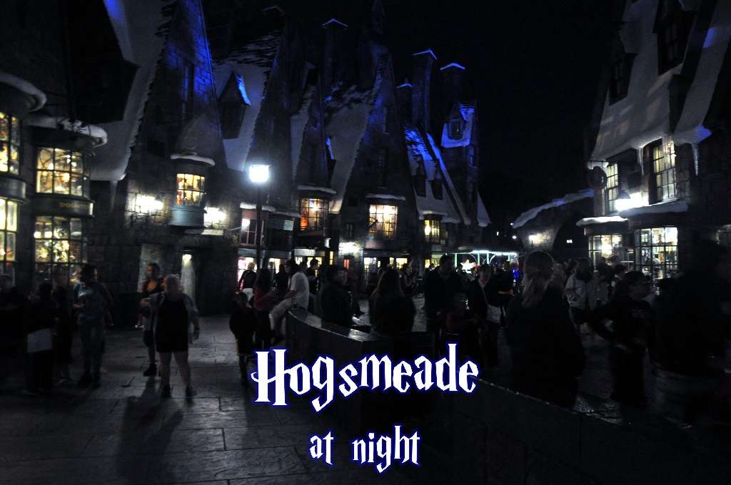 hogsmeadeatnight01s.jpg