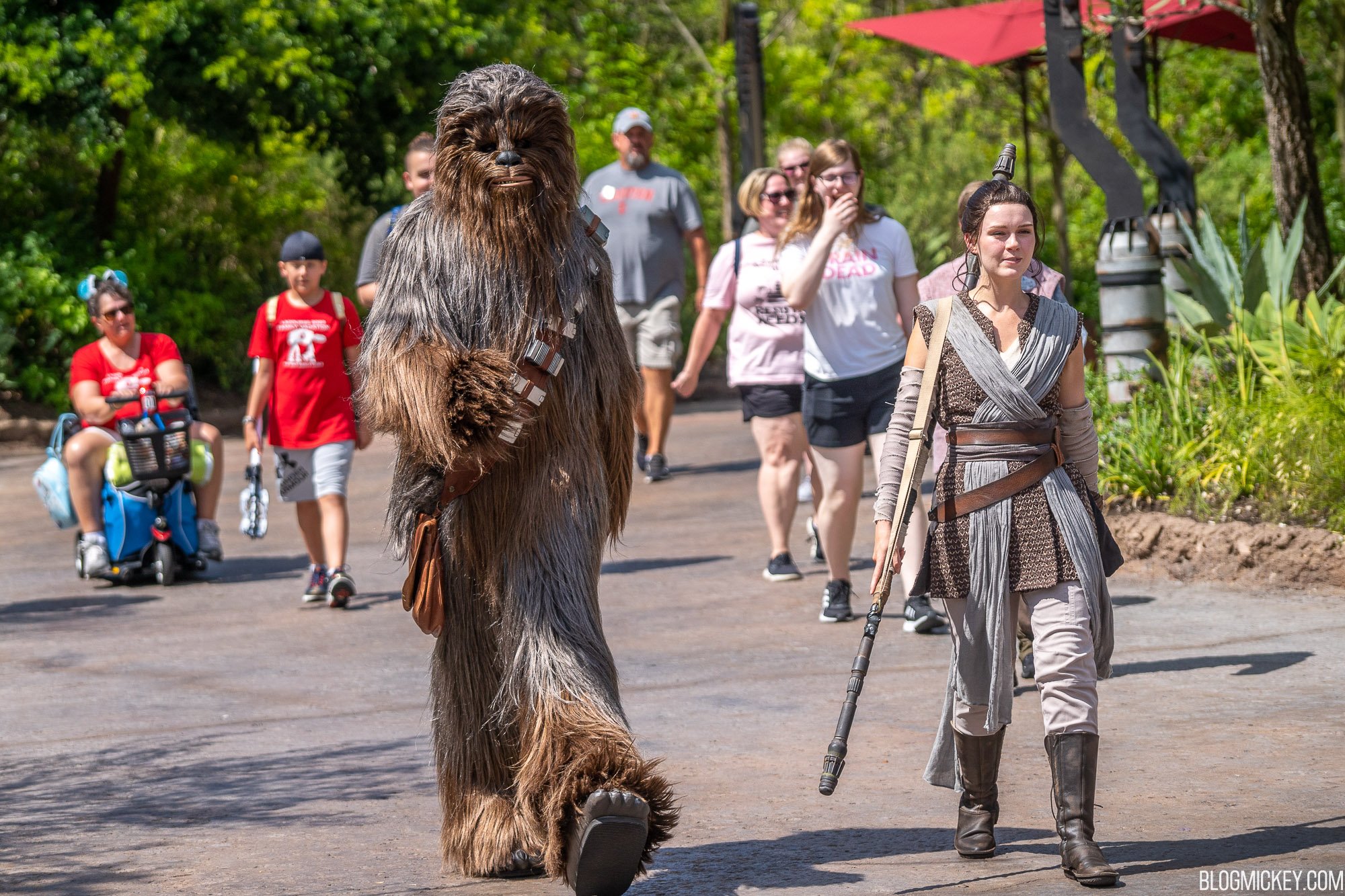 galaxys-edge-characters-rey-chewbacca-3.jpg