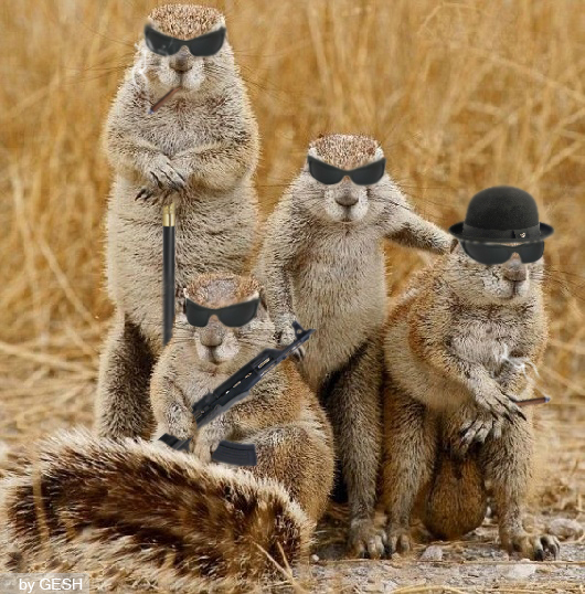 Mafia-animal-humor-16476187-530-538.jpg