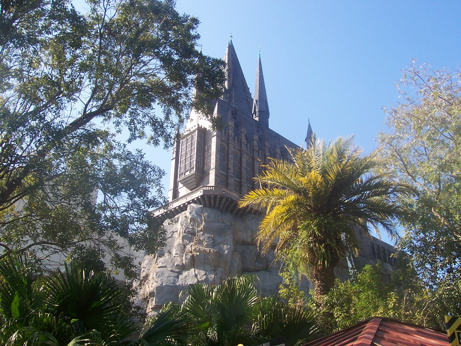 100_6262.JPG