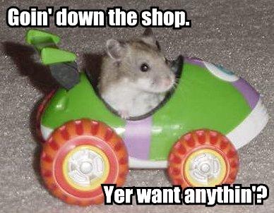 hamstermobile1.jpg