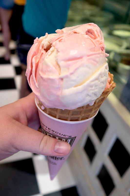 IMG-8603.jpg
