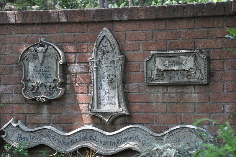 600690302_6yKsq-L.jpg