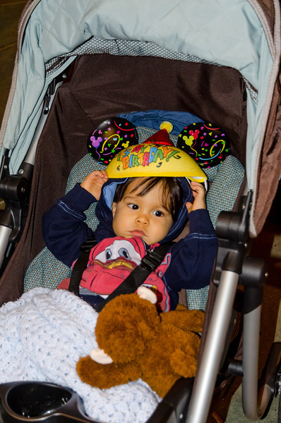 DSC0389-L.jpg