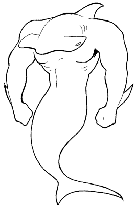 shark-02.gif