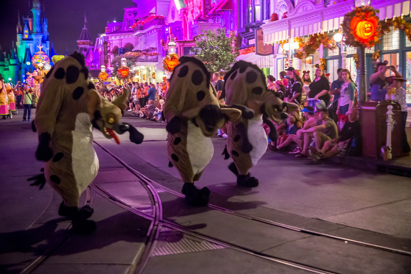 DSC_2915-L.jpg