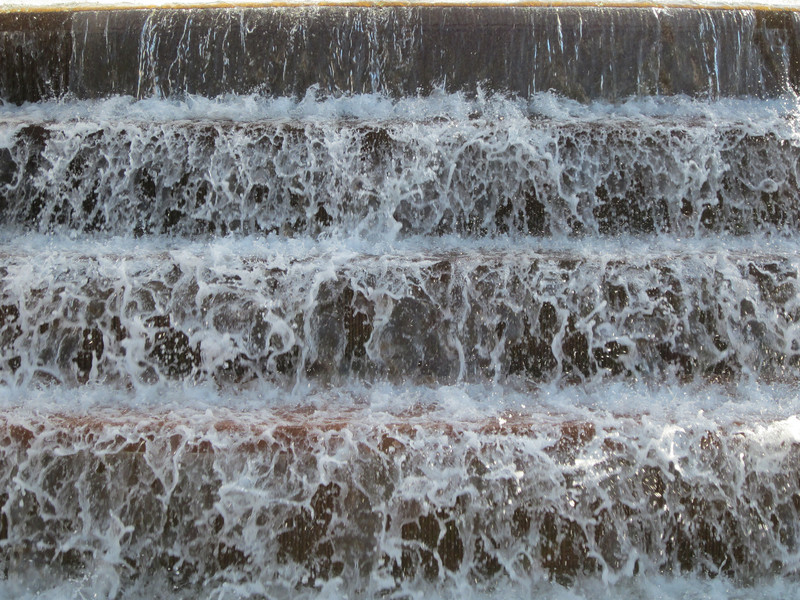 IMG0510-L.jpg