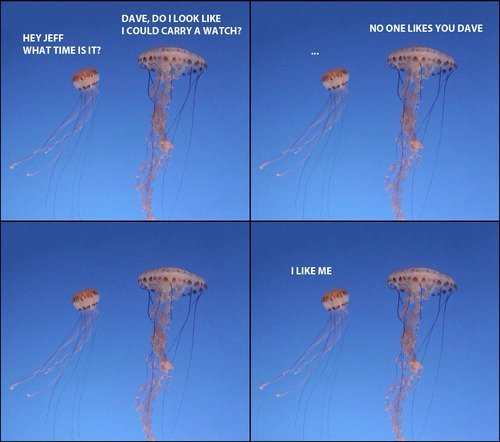 tumblr_lp5mivrcv21qahxmso1_500.jpg
